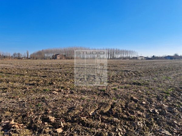 terreno agricolo in vendita a Loreggia