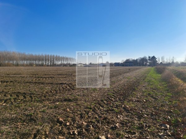 terreno agricolo in vendita a Loreggia