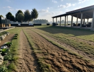 capannone in vendita a Loreggia