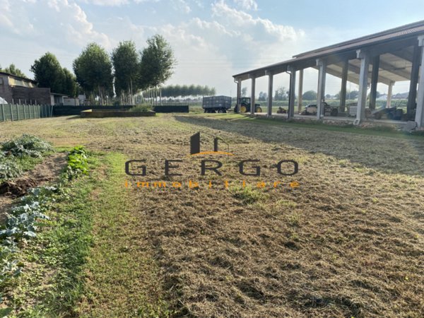 ufficio in vendita a Loreggia