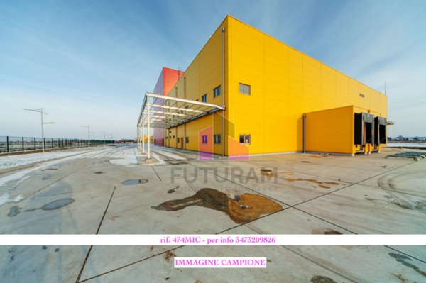 immagine annuncio 0 di 1