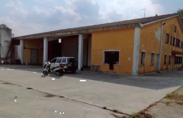azienda agricola in vendita a Loreggia