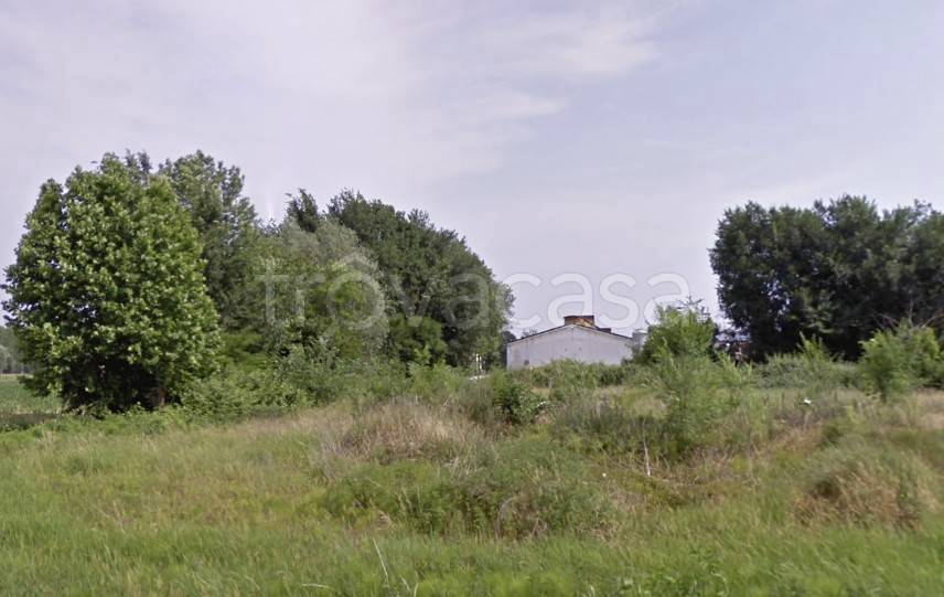 azienda agricola in vendita a Loreggia