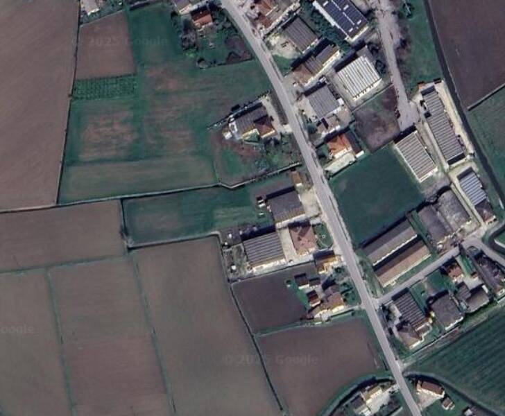 azienda agricola in vendita a Loreggia