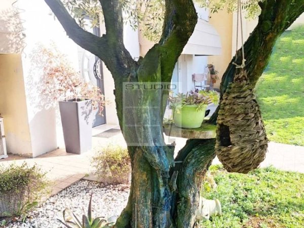 casa indipendente in vendita a Loreggia