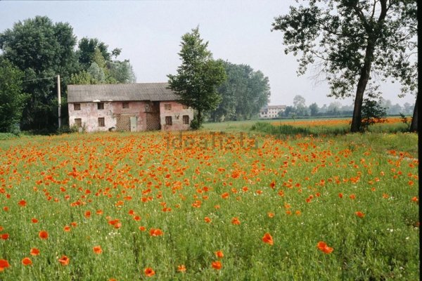 appartamento in vendita a Loreggia