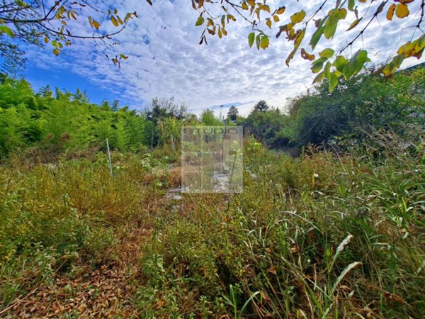 casa indipendente in vendita a Loreggia