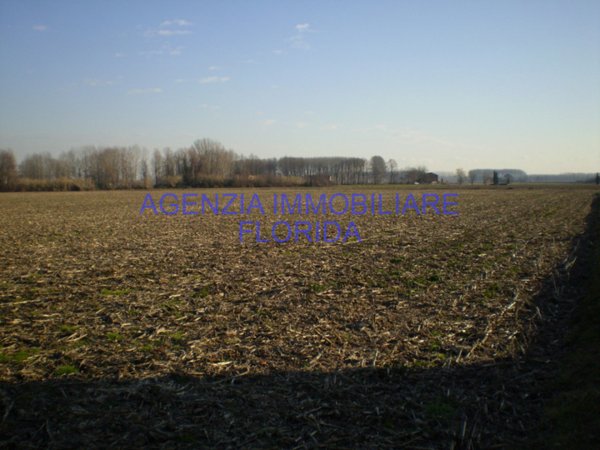 terreno agricolo in vendita a Loreggia in zona Loreggiola