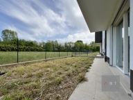 casa indipendente in vendita a Loreggia