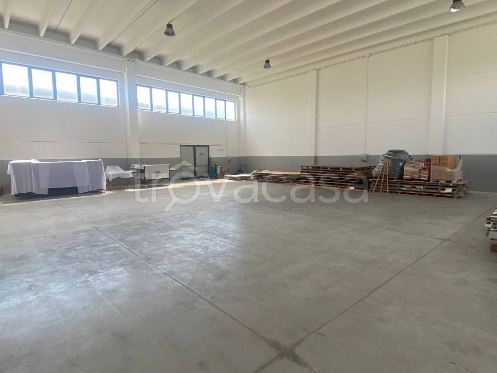 appartamento in vendita a Loreggia