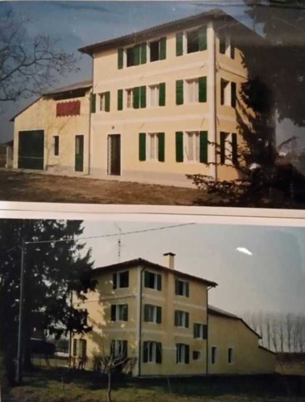 casa indipendente in vendita a Loreggia