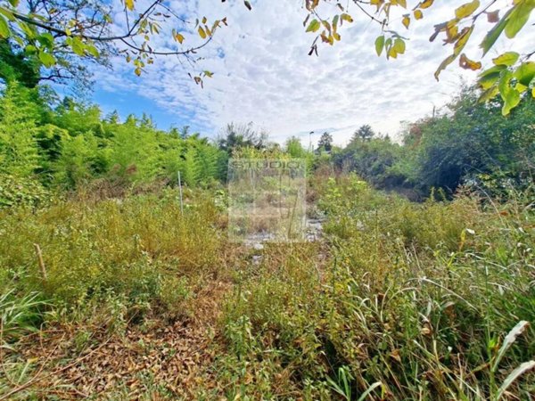 casa indipendente in vendita a Loreggia