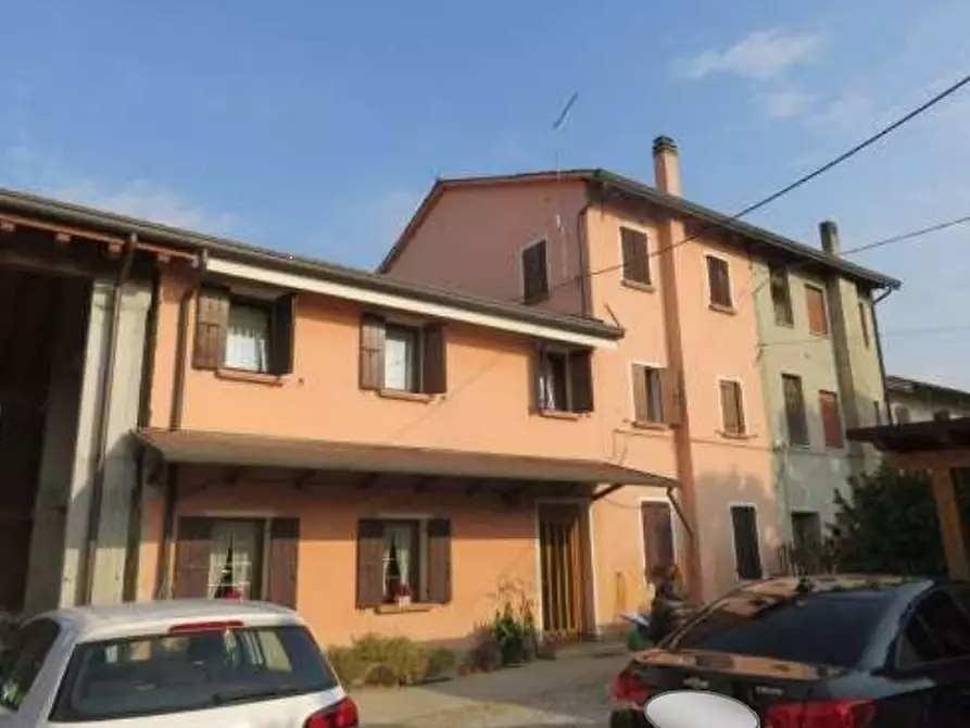 azienda agricola in vendita a Loreggia