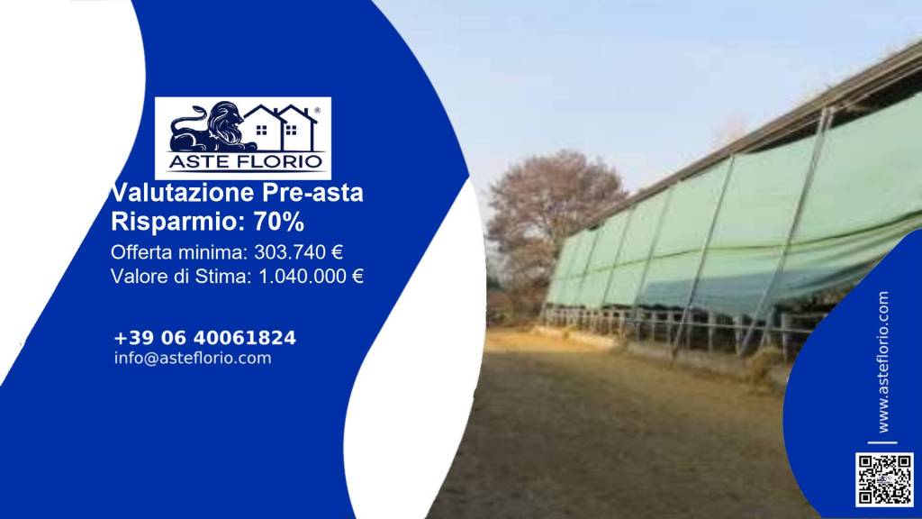 azienda agricola in vendita a Loreggia