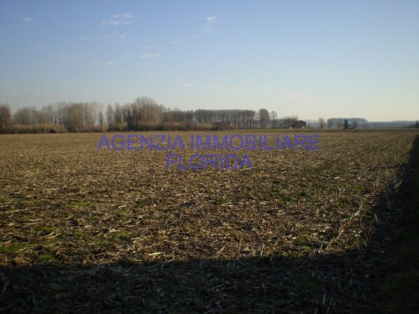 terreno in vendita a Loreggia in zona Loreggiola