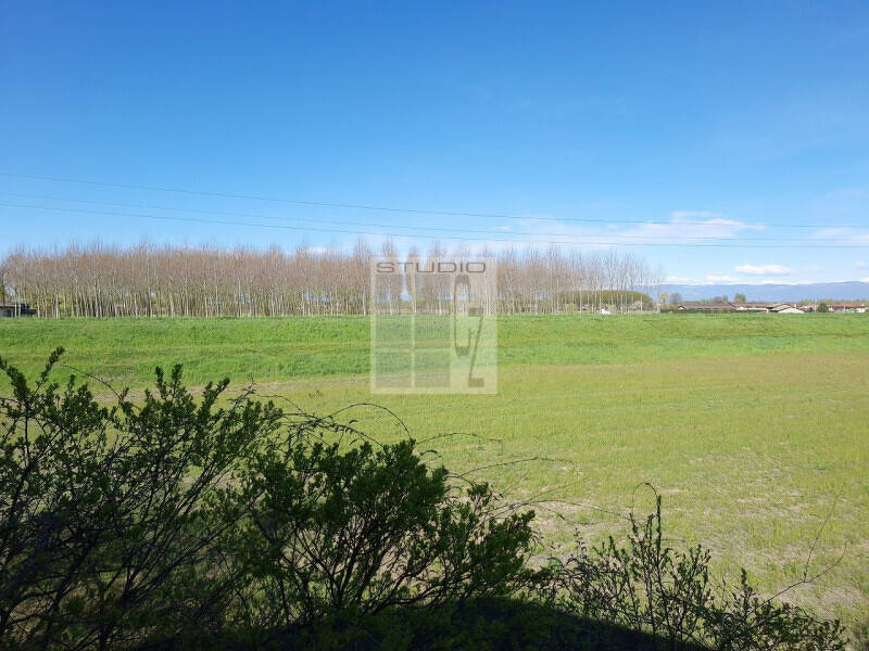 casa indipendente in vendita a Loreggia