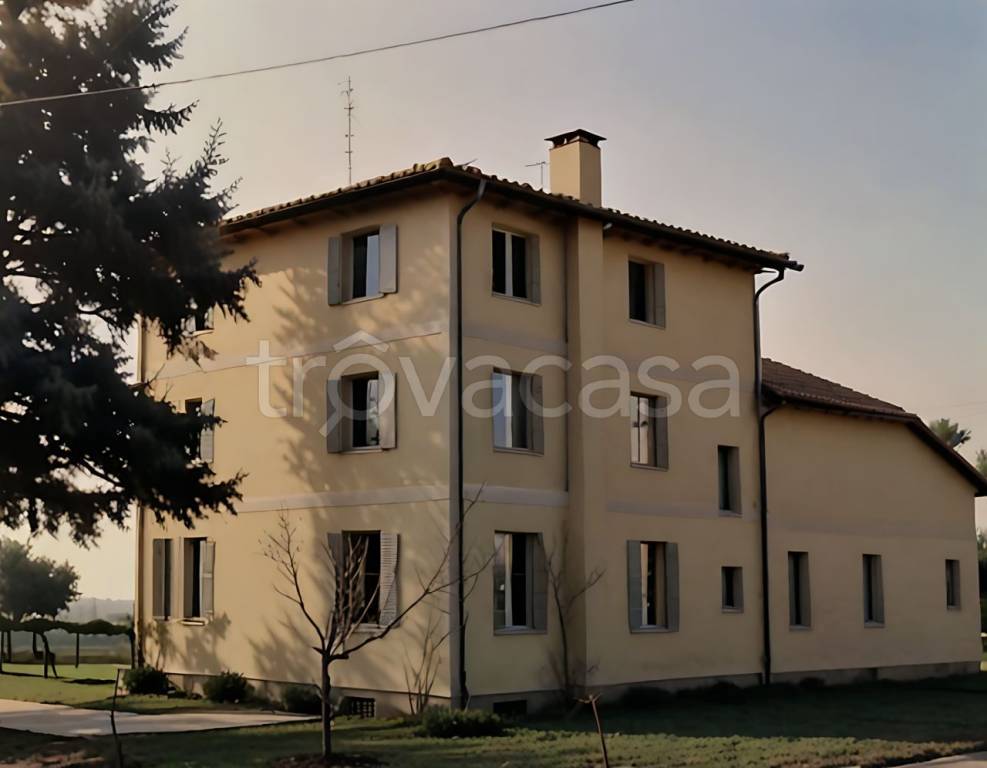 casa indipendente in vendita a Loreggia