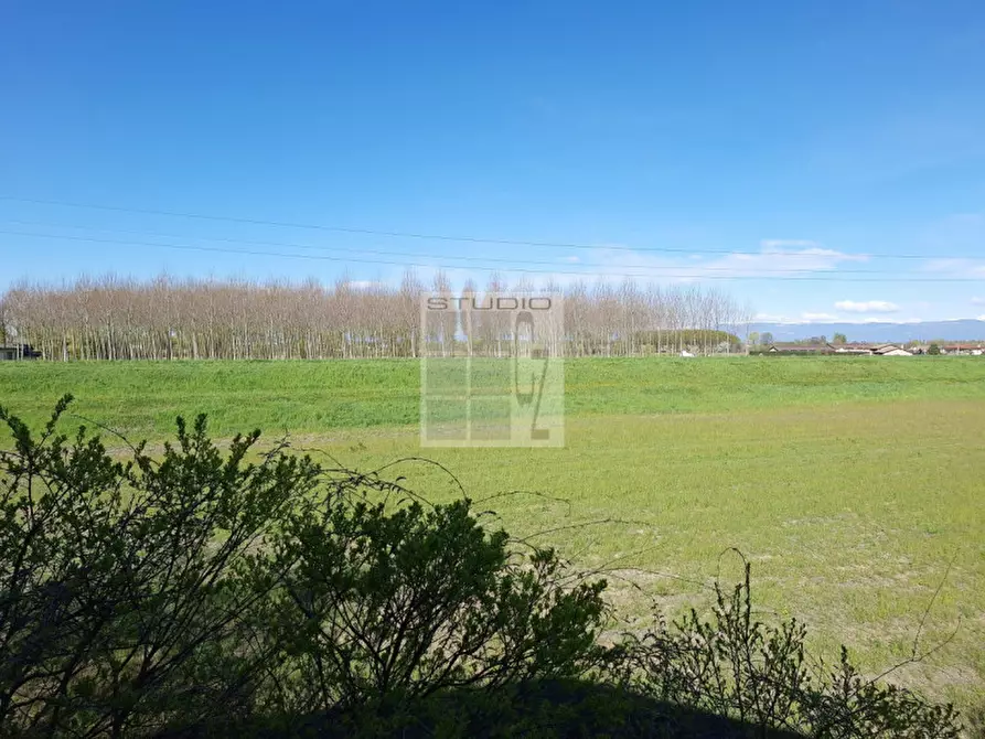 casa indipendente in vendita a Loreggia