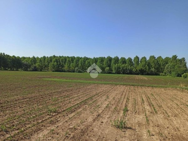 terreno agricolo in vendita a Loreggia in zona Loreggiola