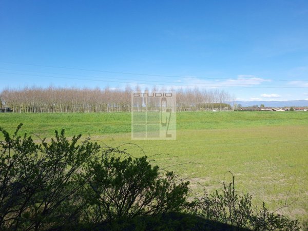 terreno in vendita a Loreggia