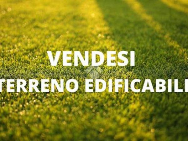 terreno in vendita a Loreggia