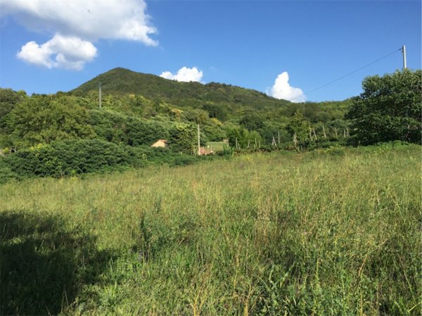 ufficio in vendita a Lozzo Atestino in zona Valbona
