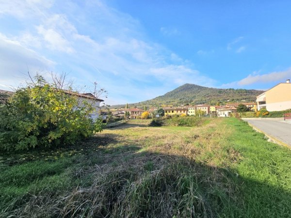 terreno agricolo in vendita a Lozzo Atestino