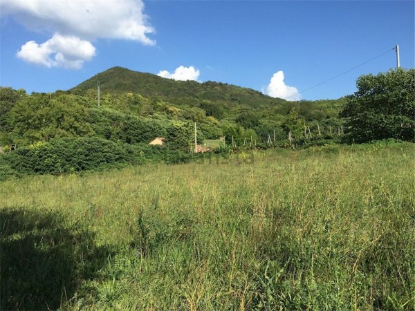 terreno edificabile in vendita a Lozzo Atestino in zona Valbona