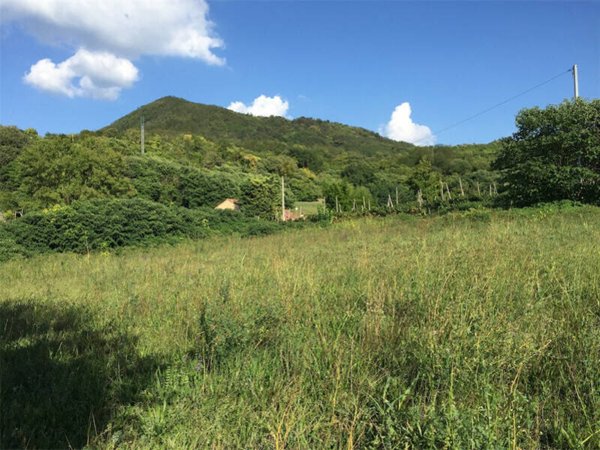 terreno agricolo in vendita a Lozzo Atestino
