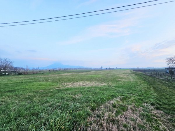 casa indipendente in vendita a Lozzo Atestino