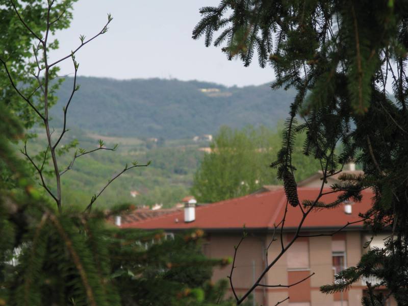 appartamento in vendita a Lozzo Atestino