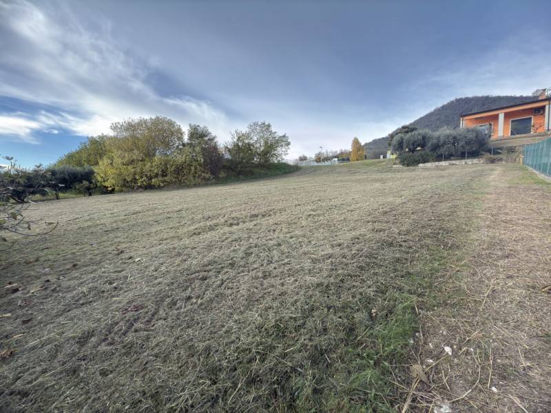 terreno in vendita a Lozzo Atestino