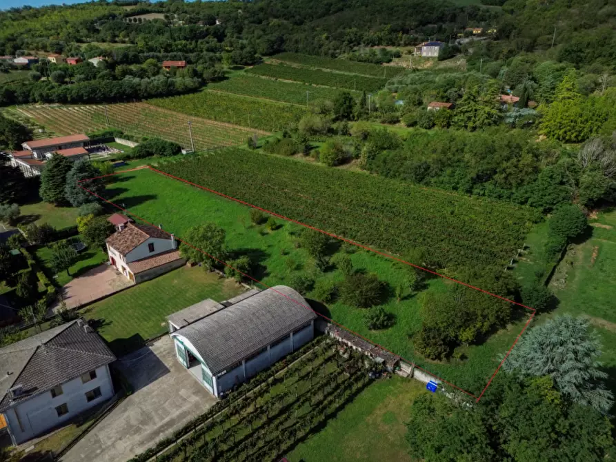terreno agricolo in vendita a Lozzo Atestino