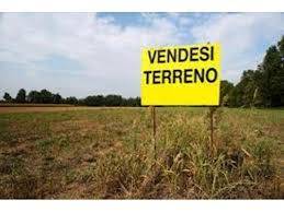 terreno agricolo in vendita a Maserà di Padova
