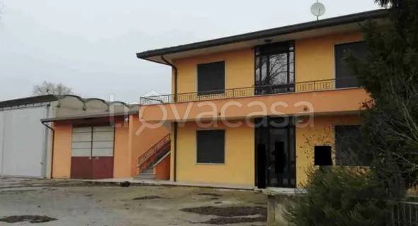 appartamento in vendita a Maserà di Padova in zona Bertipaglia