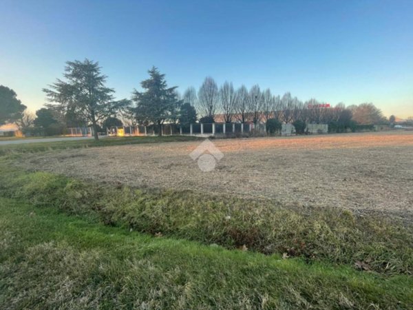 terreno agricolo in vendita a Maserà di Padova