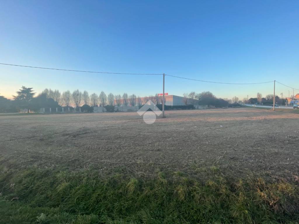 terreno agricolo in vendita a Maserà di Padova
