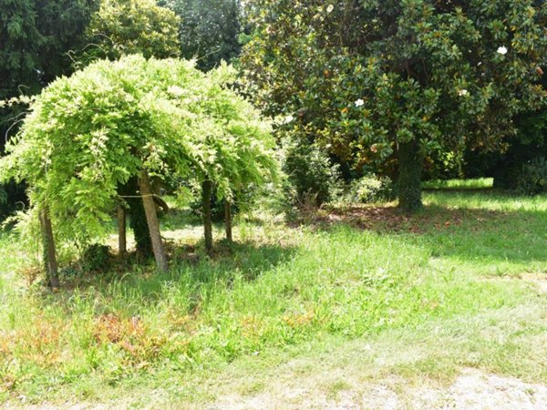 casa indipendente in vendita a Maserà di Padova in zona Bertipaglia