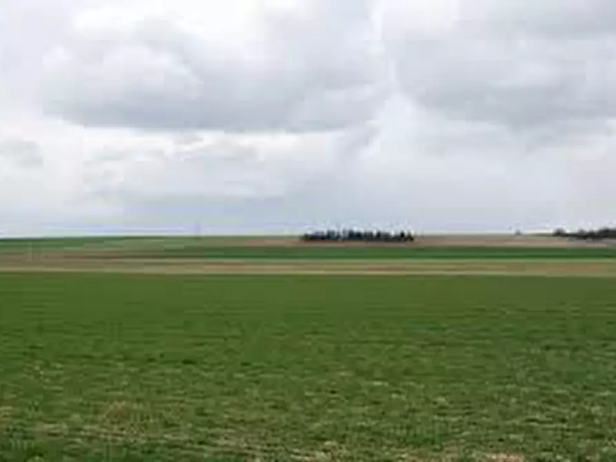 terreno agricolo in vendita a Maserà di Padova in zona Bertipaglia