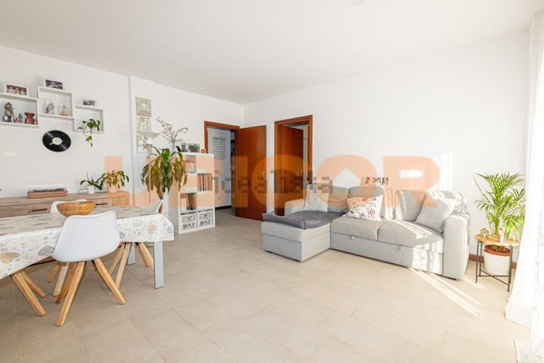 appartamento in vendita a Maserà di Padova