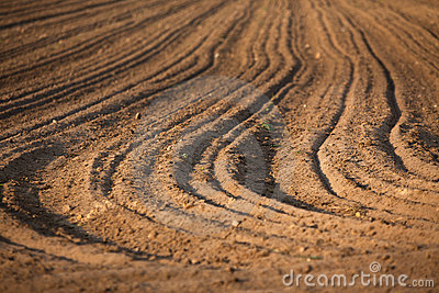 casa indipendente in vendita a Maserà di Padova