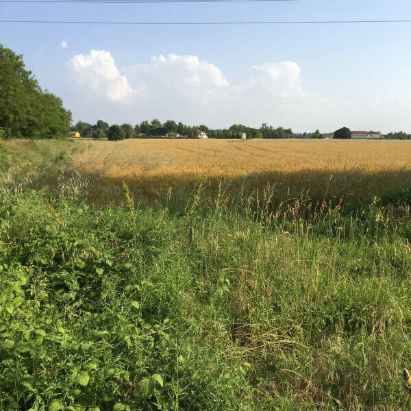 casa indipendente in vendita a Maserà di Padova