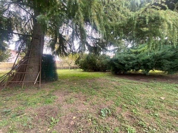 casa indipendente in vendita a Masi