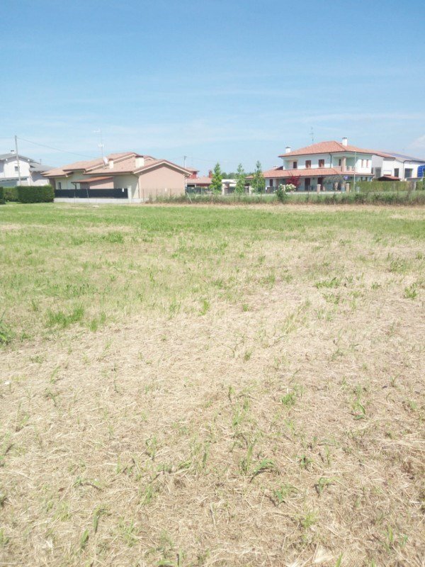 terreno agricolo in vendita a Masi