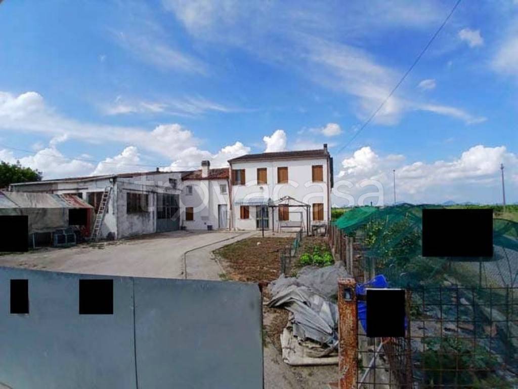 appartamento in vendita a Masi