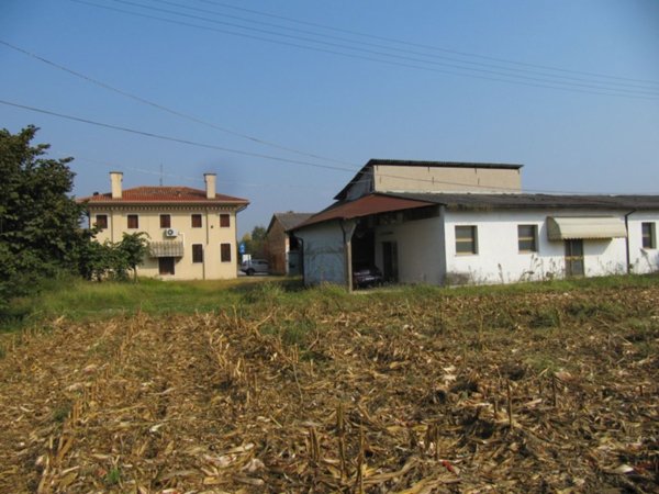 casa indipendente in vendita a Massanzago