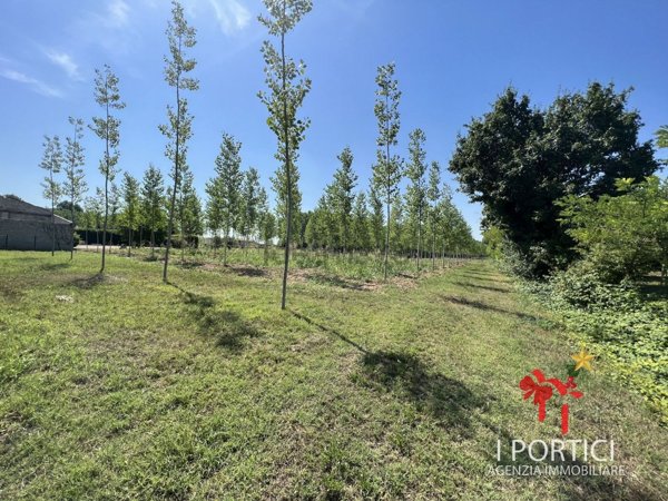 appartamento in vendita a Massanzago in zona Zeminiana