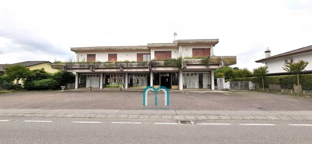 casa indipendente in vendita a Massanzago in zona Zeminiana