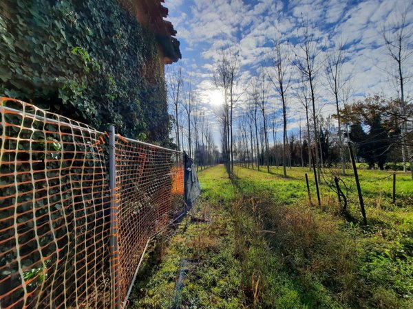 appartamento in vendita a Massanzago
