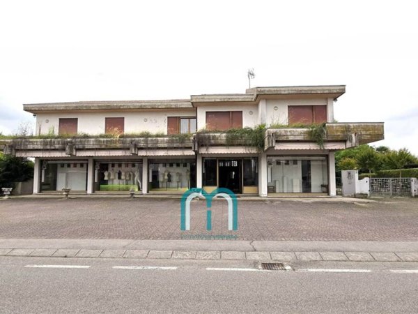 casa indipendente in vendita a Massanzago in zona Zeminiana